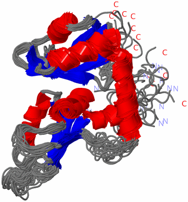 Image NMR Structure - all models