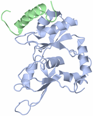 Image NMR Structure - model 1