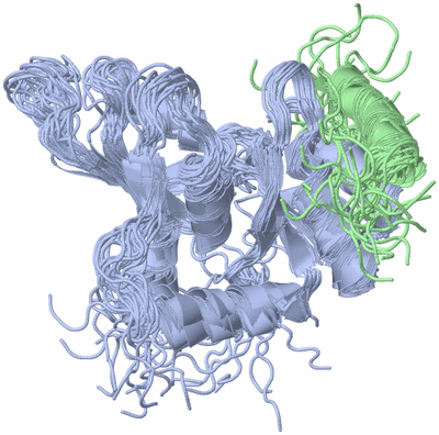 Image NMR Structure - all models