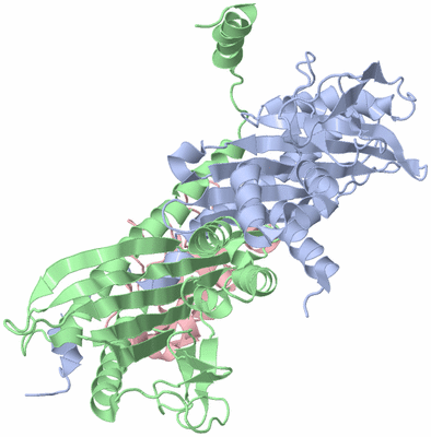 Image NMR Structure - model 1