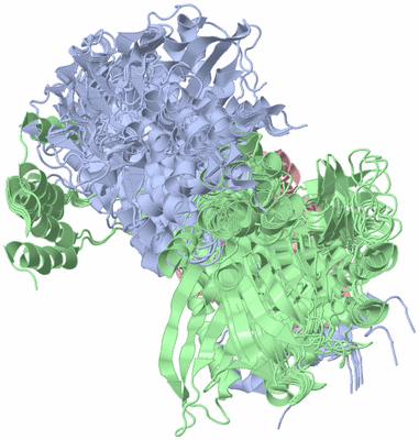 Image NMR Structure - all models