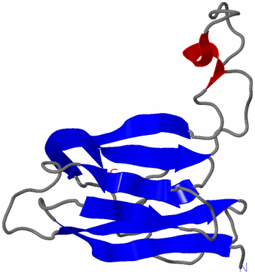 Image NMR Structure - model 1