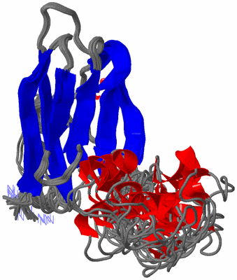 Image NMR Structure - all models