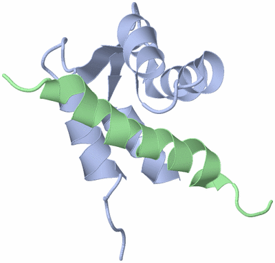 Image NMR Structure - model 1