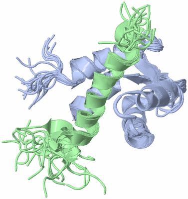 Image NMR Structure - all models