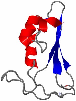 Image NMR Structure - model 1