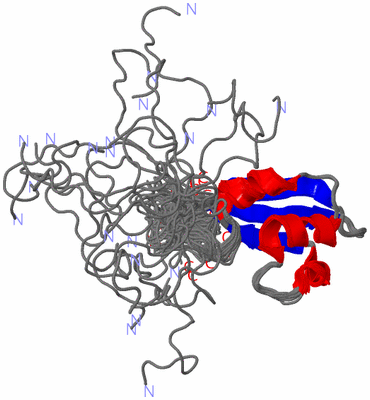 Image NMR Structure - all models