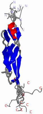 Image NMR Structure - all models