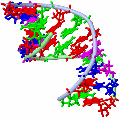 Image NMR Structure - model 1