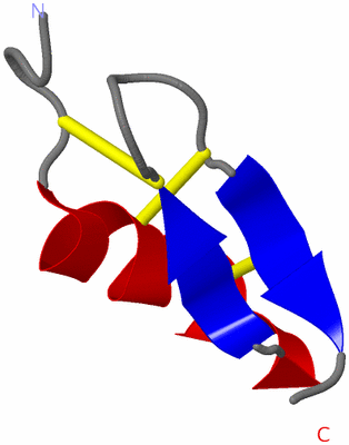 Image NMR Structure - model 1