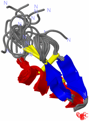 Image NMR Structure - all models