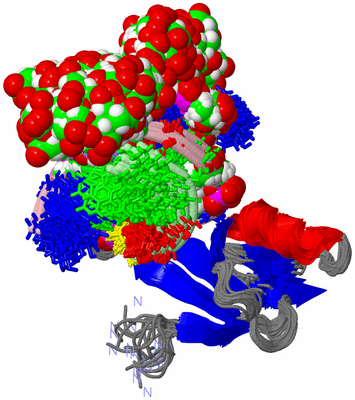 Image NMR Structure - all models