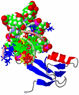 Image NMR Structure - model 1, sites
