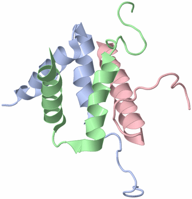 Image NMR Structure - model 1