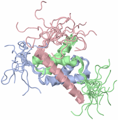 Image NMR Structure - all models