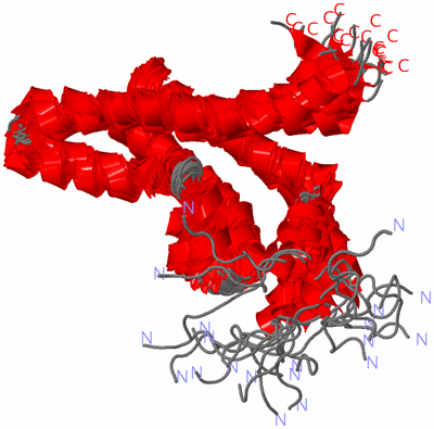 Image NMR Structure - all models