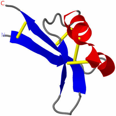 Image NMR Structure - model 1