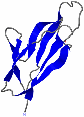 Image NMR Structure - model 1