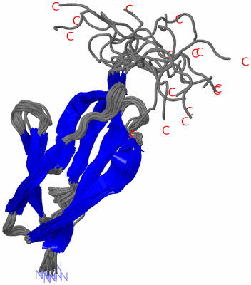 Image NMR Structure - all models