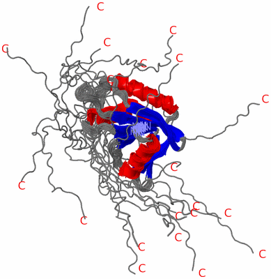 Image NMR Structure - all models