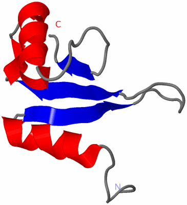 Image NMR Structure - model 1