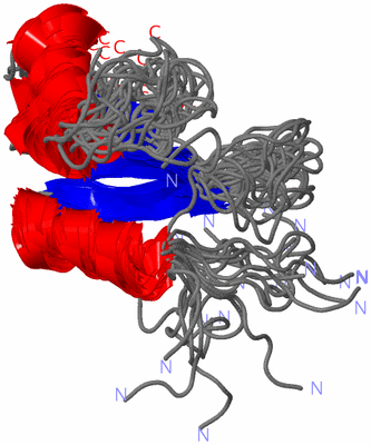 Image NMR Structure - all models