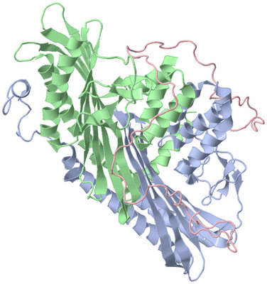 Image NMR Structure - model 1