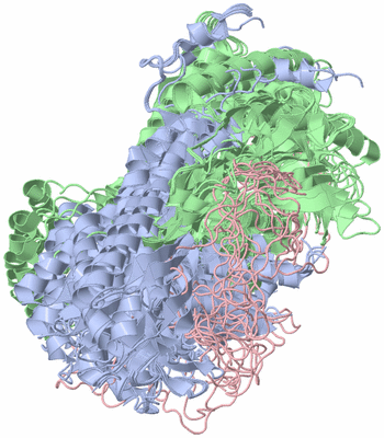 Image NMR Structure - all models