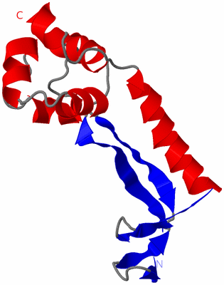 Image NMR Structure - model 1