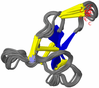 Image NMR Structure - all models