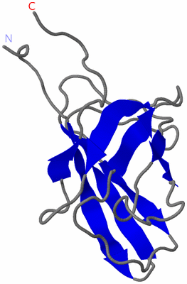 Image NMR Structure - model 1