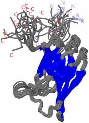 Image NMR Structure - all models