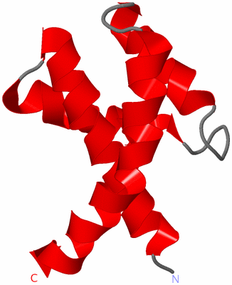 Image NMR Structure - model 1