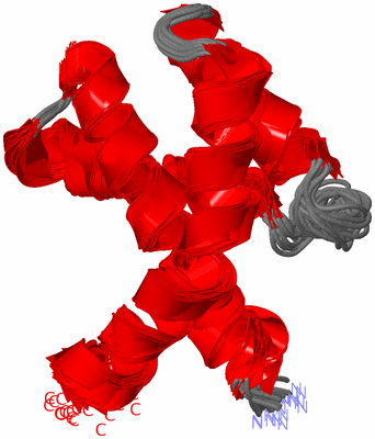 Image NMR Structure - all models