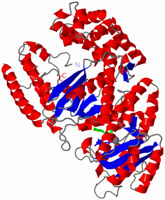 Image Asym./Biol. Unit