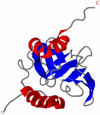 Image NMR Structure - model 1