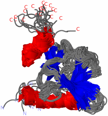 Image NMR Structure - all models