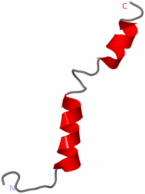 Image NMR Structure - model 1
