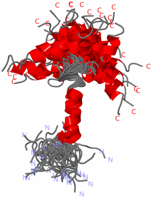 Image NMR Structure - all models