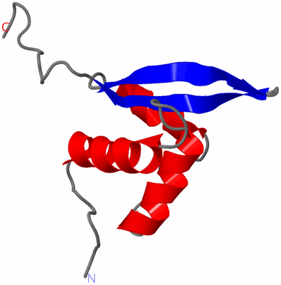 Image NMR Structure - model 1