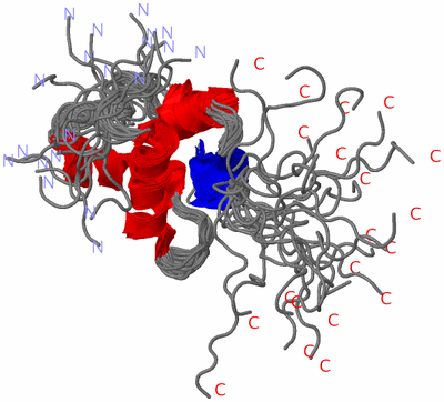 Image NMR Structure - all models