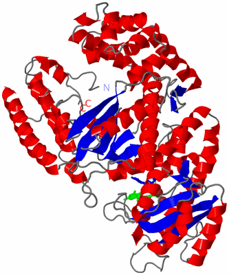 Image Asym./Biol. Unit