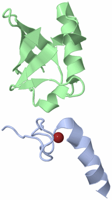 Image NMR Structure - model 1