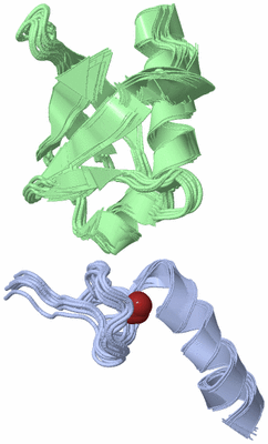 Image NMR Structure - all models