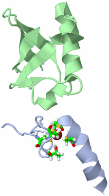 Image NMR Structure - model 1, sites