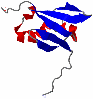 Image NMR Structure - model 1