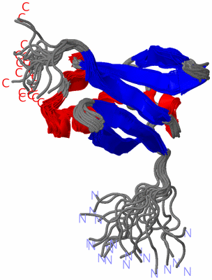 Image NMR Structure - all models