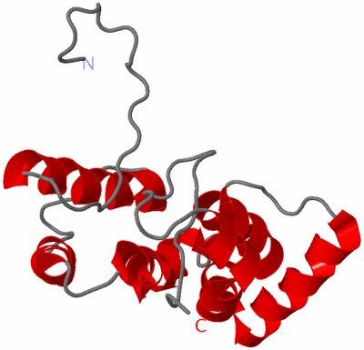 Image NMR Structure - model 1