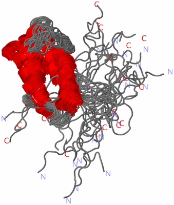 Image NMR Structure - all models