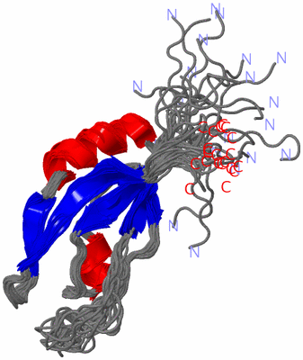 Image NMR Structure - all models